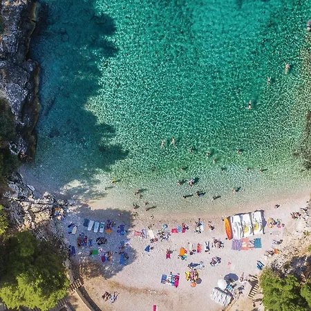 Apartamento In With Kitchen